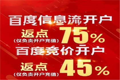 竞价SEM策略在金融行业的成功实践